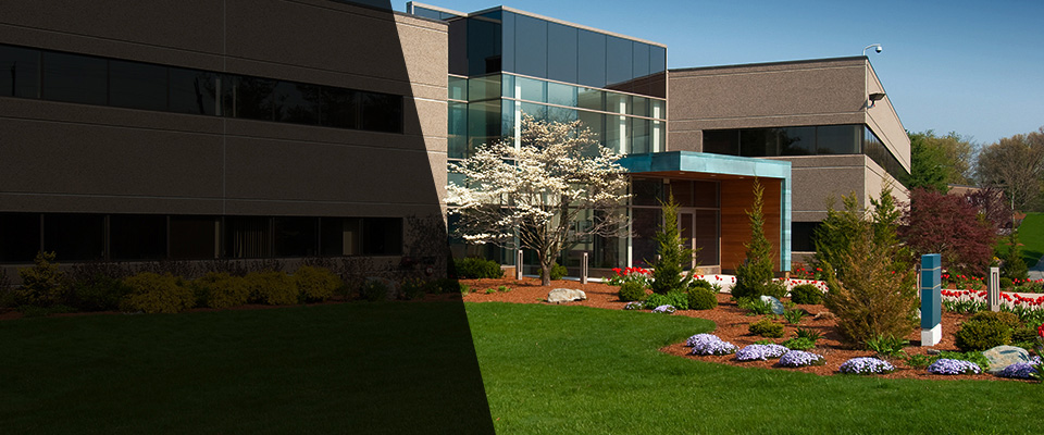 Laguna Hills Landscapers
