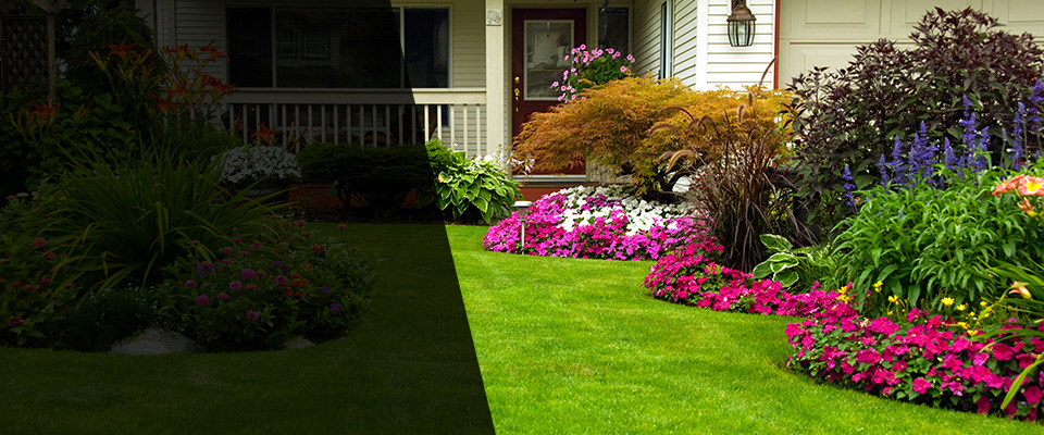 Laguna Hills Landscapers