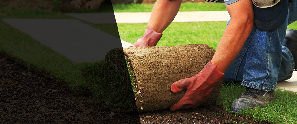Laguna Hills Landscapers